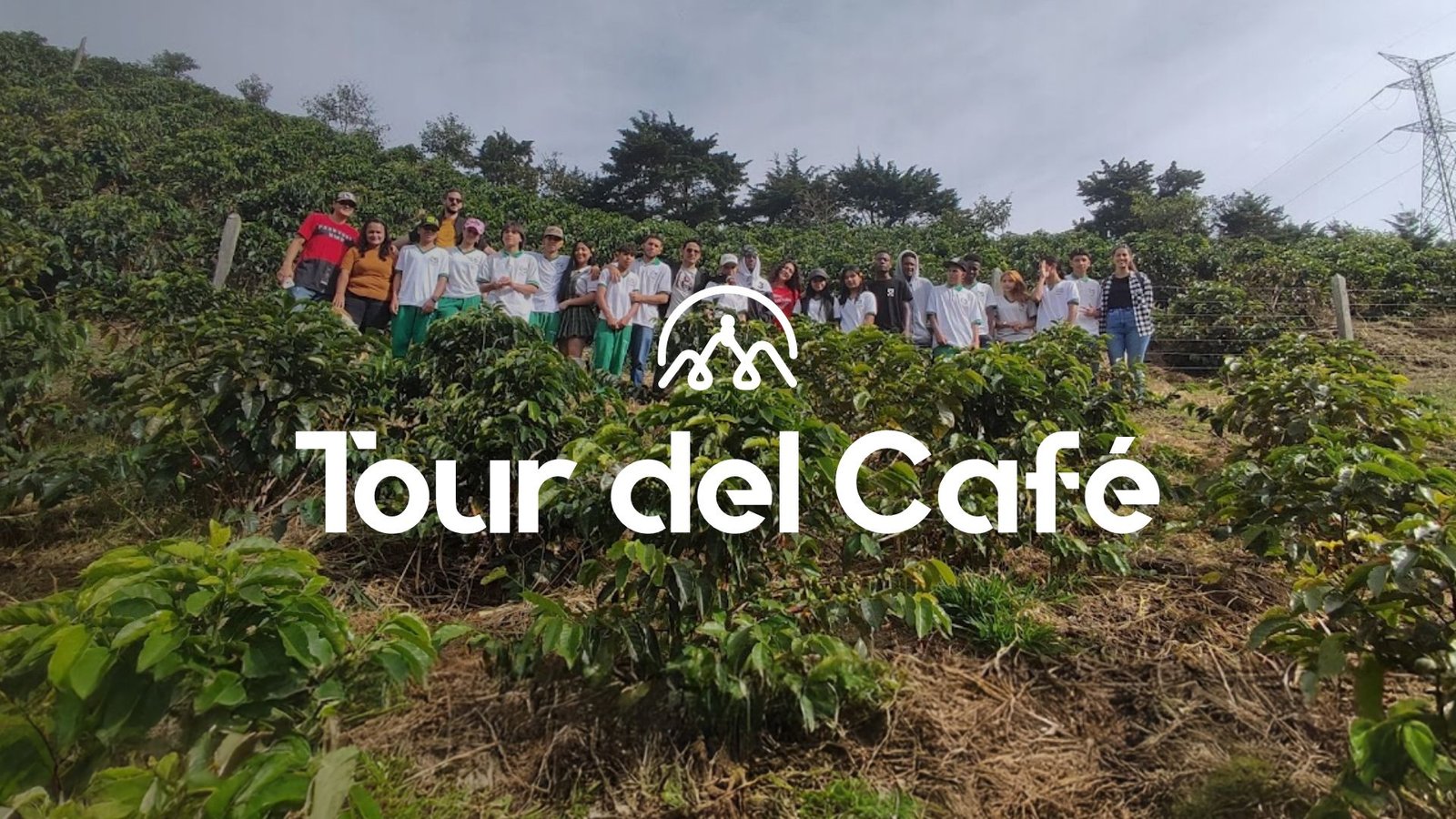 Tour del Café: de la semilla a la taza​